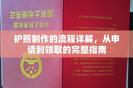 卧龙护照制作的流程详解，从申请到领取的完整指南
