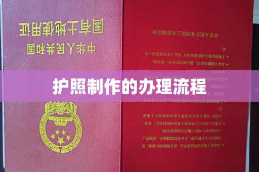 卧龙护照制作的办理流程