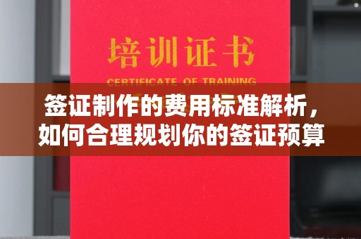 卧龙签证制作的费用标准解析，如何合理规划你的签证预算