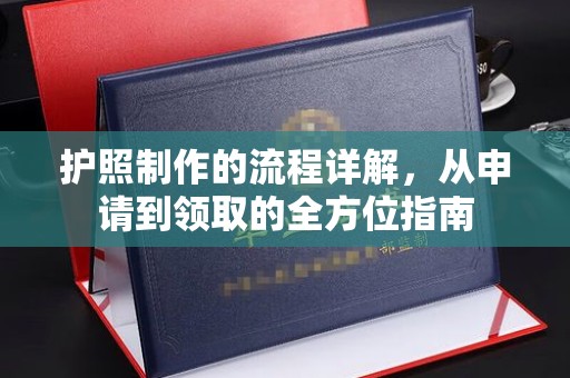 卧龙护照制作的流程详解，从申请到领取的全方位指南