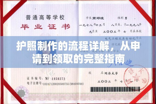 卧龙护照制作的流程详解，从申请到领取的完整指南