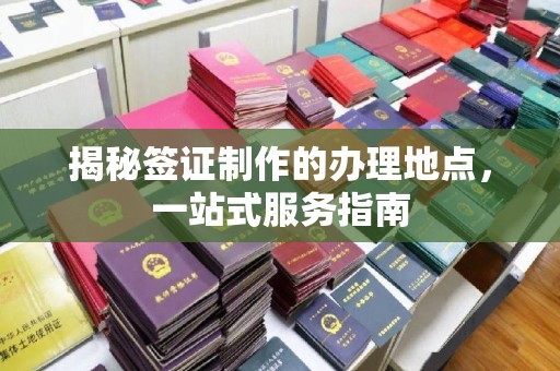 卧龙揭秘签证制作的办理地点，一站式服务指南