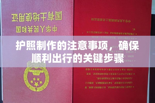 卧龙护照制作的注意事项，确保顺利出行的关键步骤