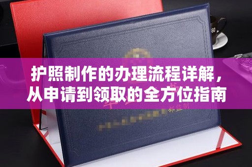 卧龙护照制作的办理流程详解，从申请到领取的全方位指南