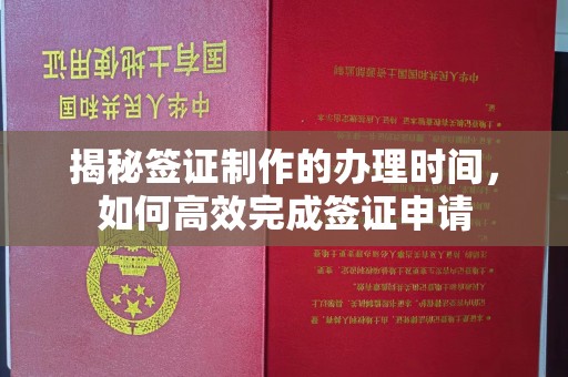 卧龙揭秘签证制作的办理时间，如何高效完成签证申请