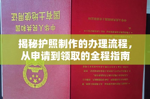 卧龙揭秘护照制作的办理流程，从申请到领取的全程指南