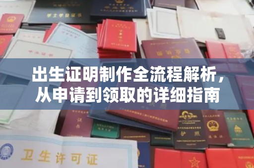 卧龙出生证明制作全流程解析，从申请到领取的详细指南