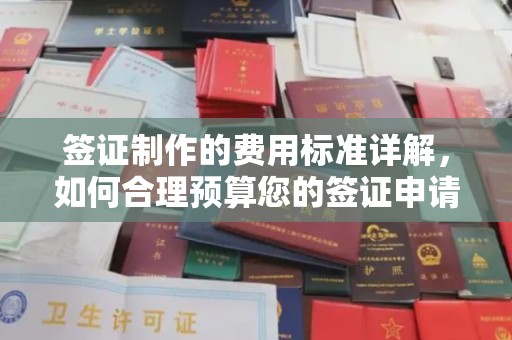 卧龙签证制作的费用标准详解，如何合理预算您的签证申请成本