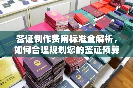 卧龙签证制作费用标准全解析，如何合理规划您的签证预算？