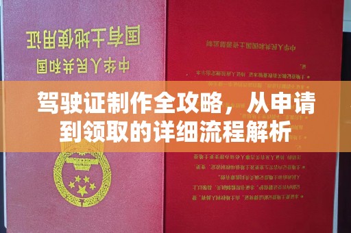 卧龙驾驶证制作全攻略，从申请到领取的详细流程解析