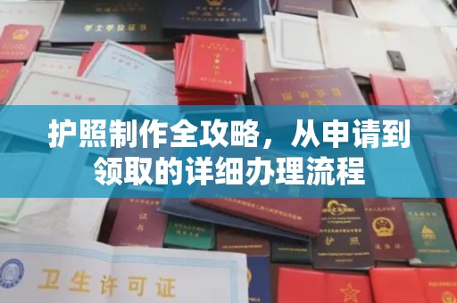 卧龙护照制作全攻略，从申请到领取的详细办理流程